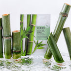 Joyful Time Bamboo Essence Mask MIZON
